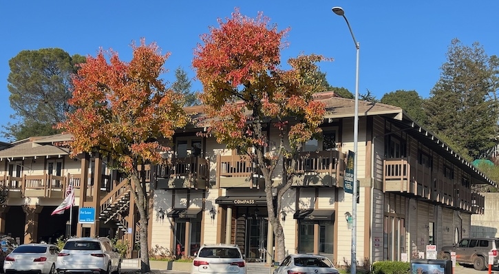 Retail leasing, Walgreens exterior